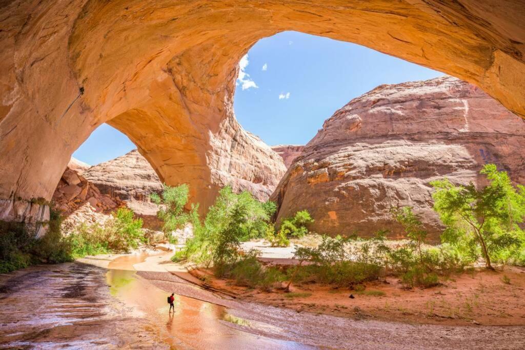 Red Rock Ranch Log Cabin: Large, Fully Furnished Escalante Exterior foto